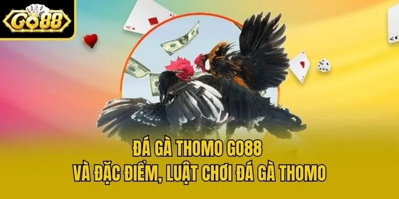 Đá Gà Thomo Go88 Và Đặc Điểm, Luật Chơi Đá Gà Thomo