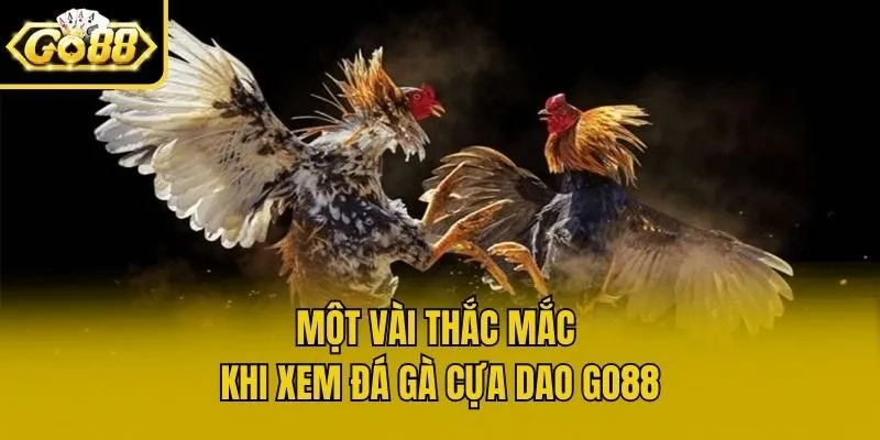 Một vài thắc mắc khi xem đá gà cựa dao Go88